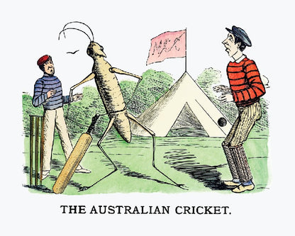 The Australian cricket