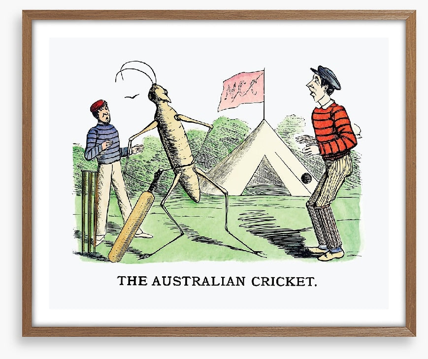 The Australian cricket
