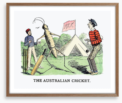 The Australian cricket