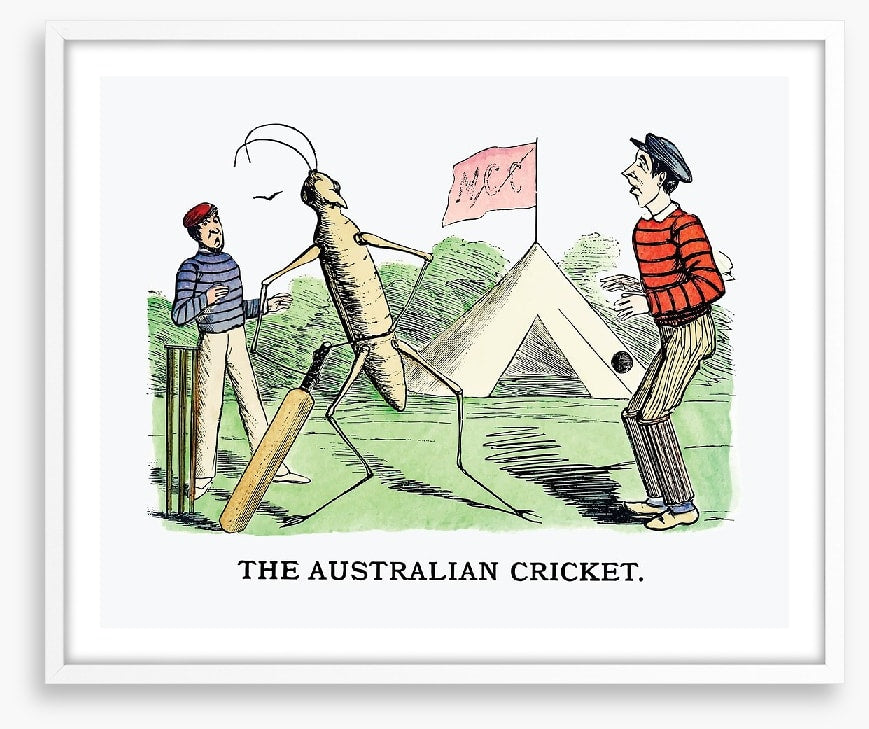 The Australian cricket