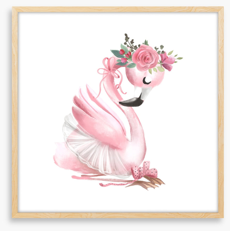 Baby flamingo ballet