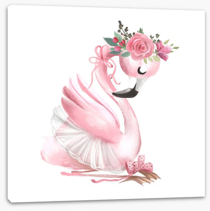 Baby flamingo ballet
