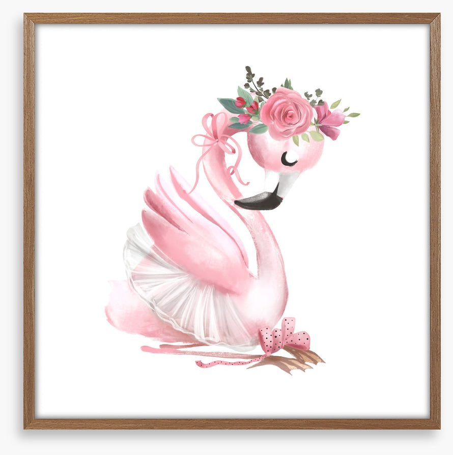 Baby flamingo ballet