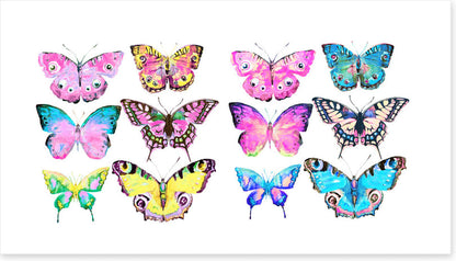 Butterflies