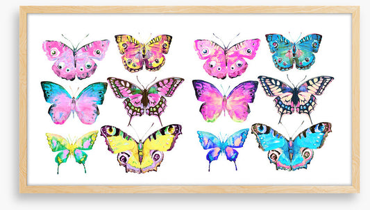 Butterflies