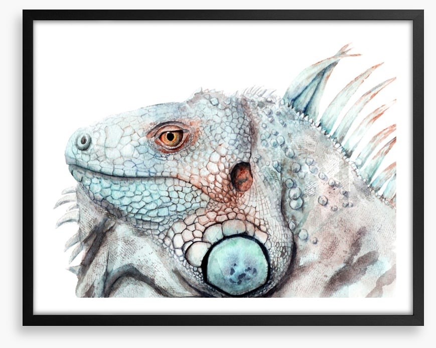 The lizard look