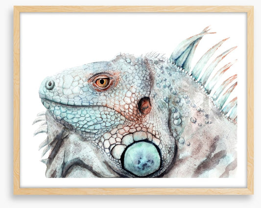The lizard look