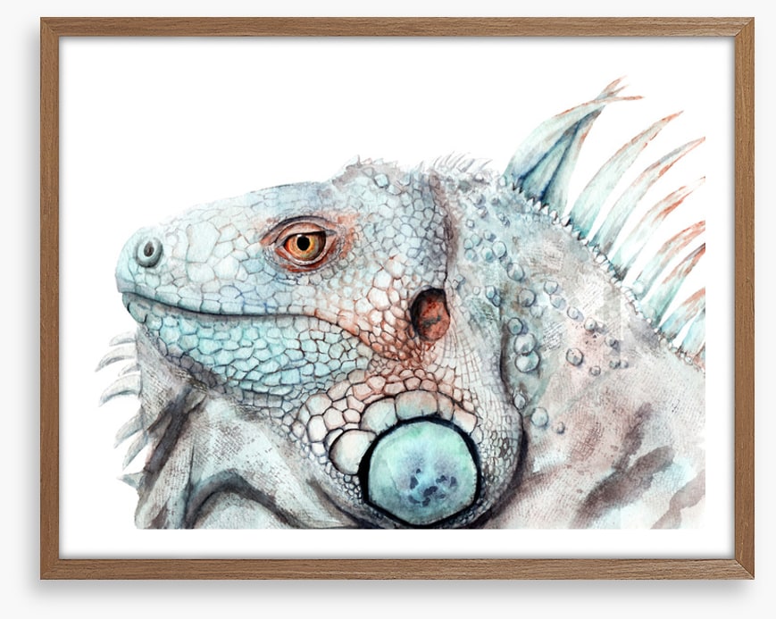 The lizard look