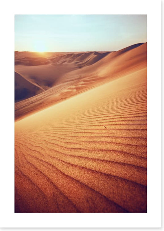 Desert