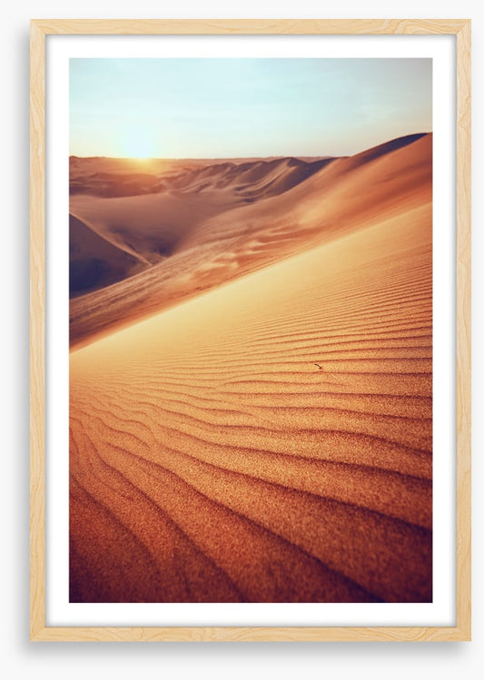 Desert