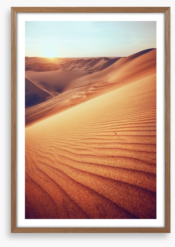 Desert