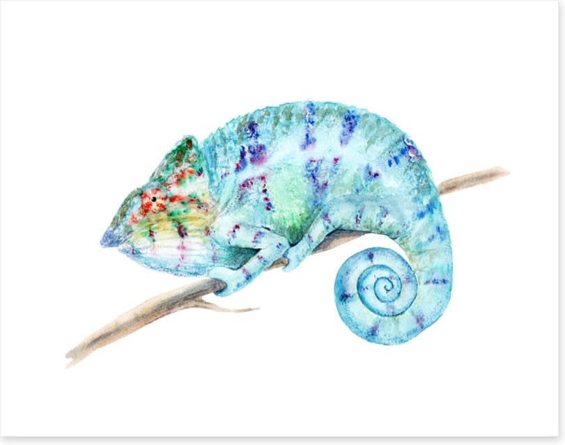 Karma chameleon