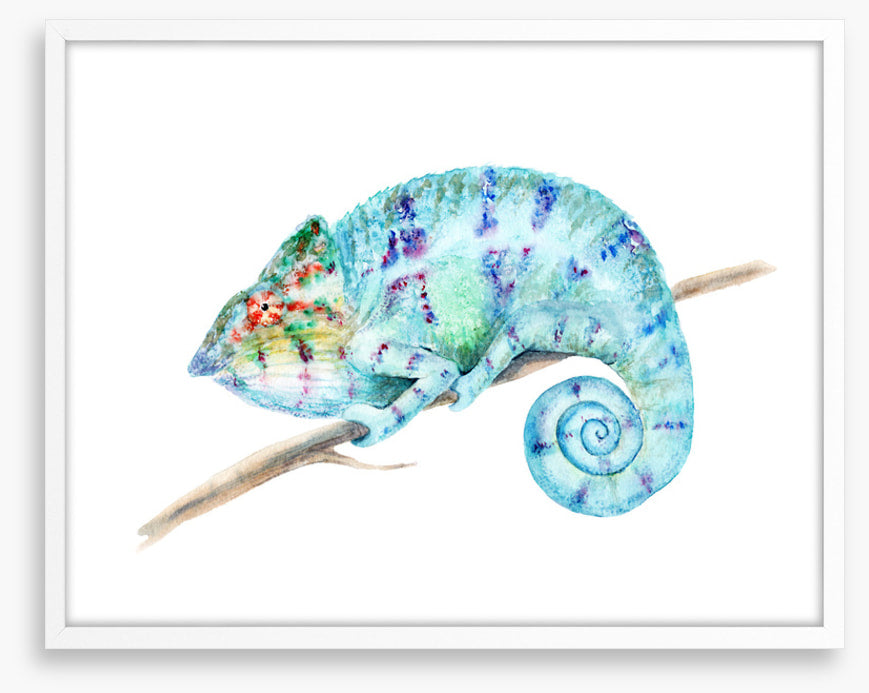 Karma chameleon