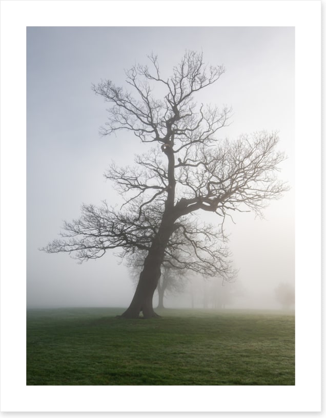 Leaning into the mist