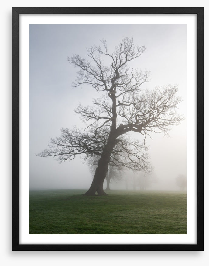 Leaning into the mist