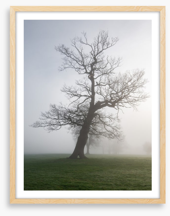 Leaning into the mist