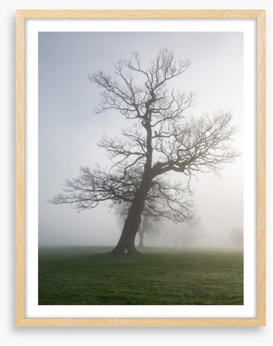 Leaning into the mist