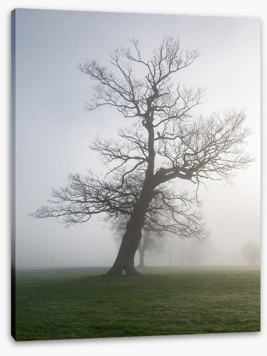 Leaning into the mist