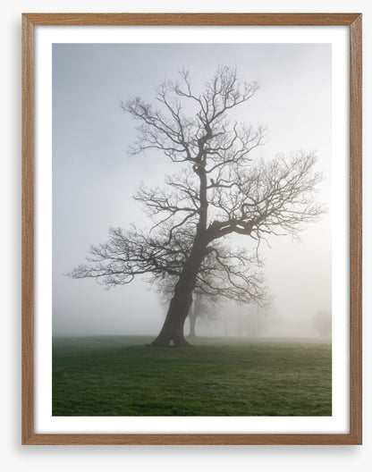 Leaning into the mist