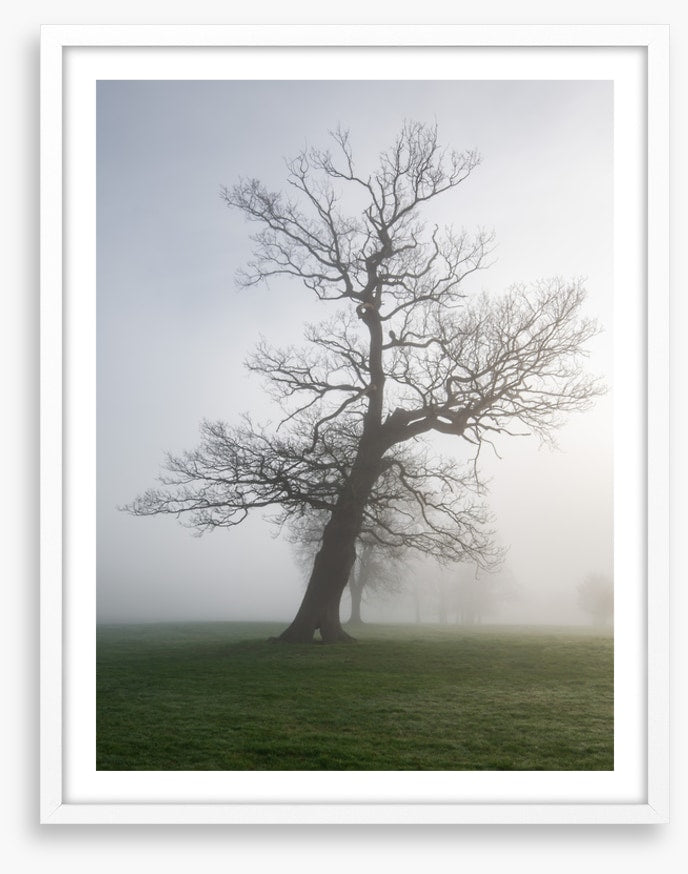 Leaning into the mist