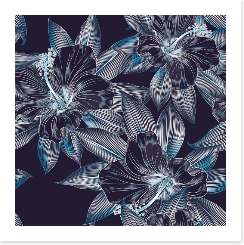 Hibiscus moonlight