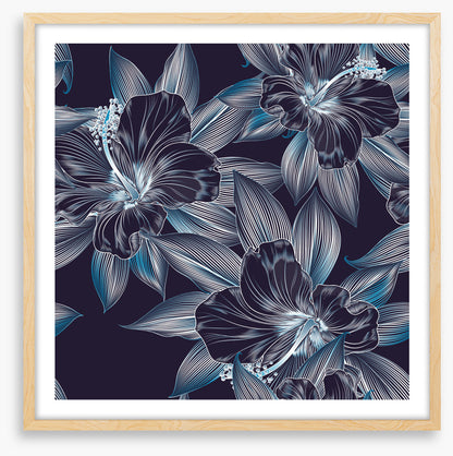 Hibiscus moonlight