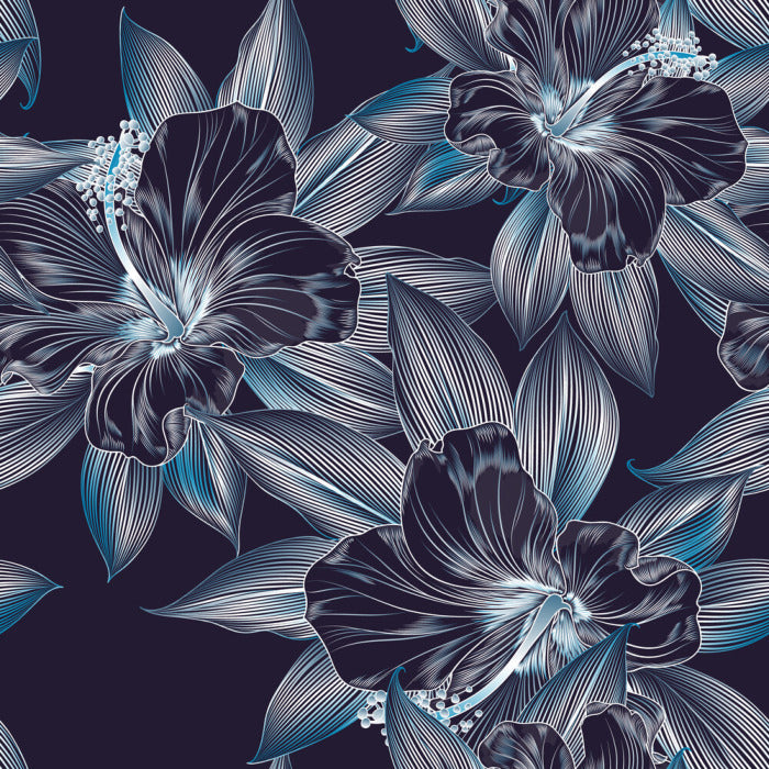 Hibiscus moonlight