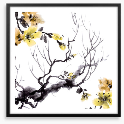 Golden branch bloom