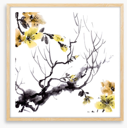 Golden branch bloom