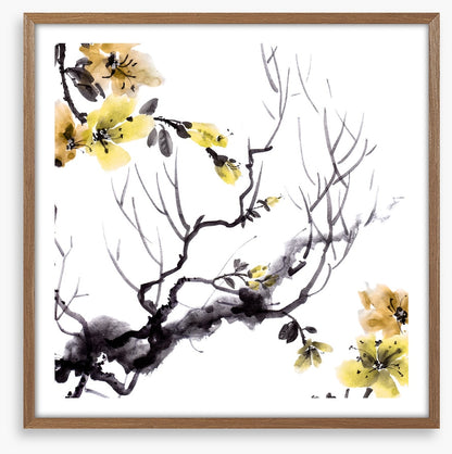 Golden branch bloom