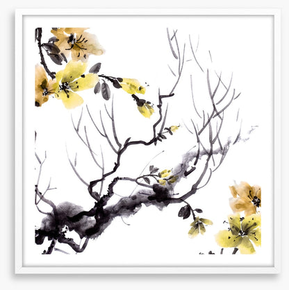 Golden branch bloom