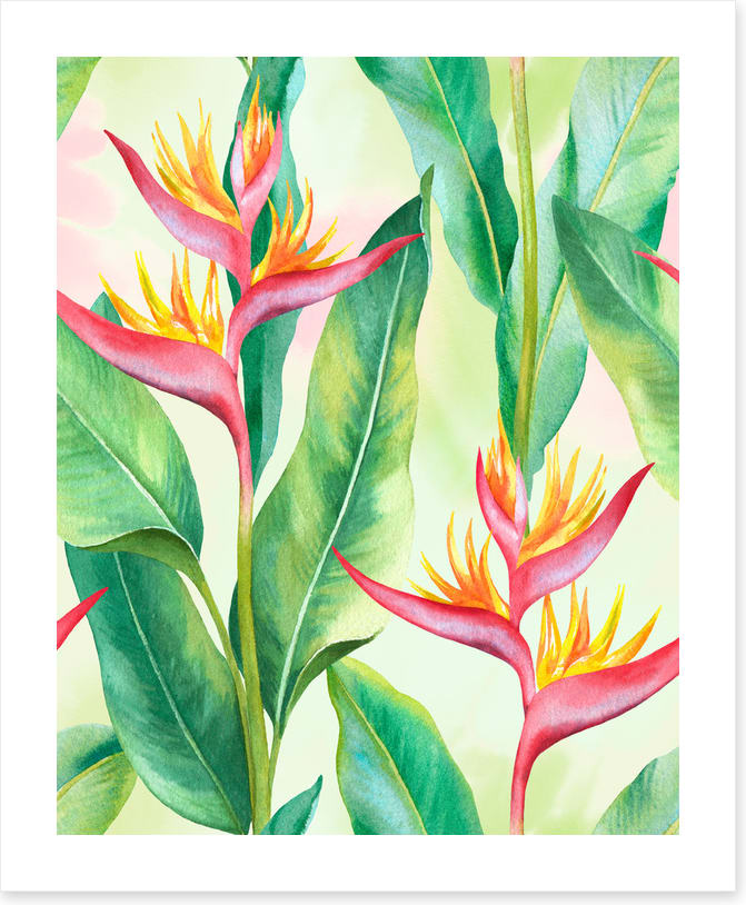 Balmy birds in paradise