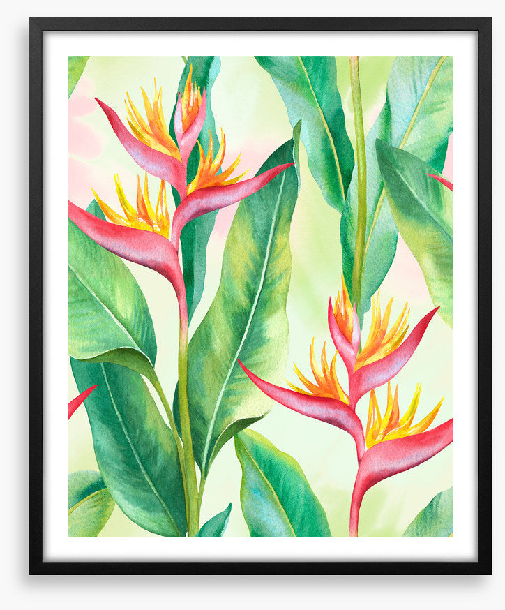 Balmy birds in paradise