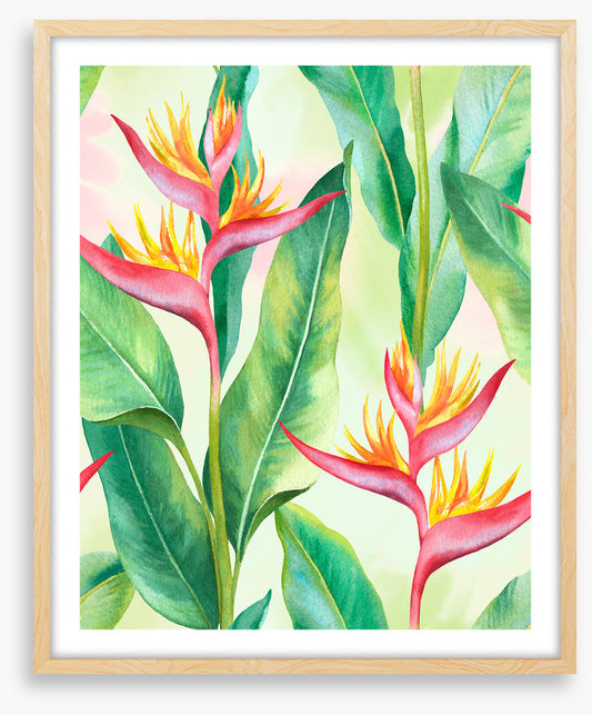 Balmy birds in paradise