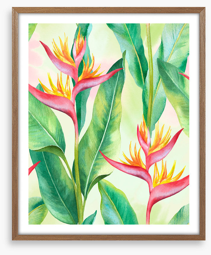 Balmy birds in paradise