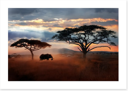 Serengeti dust silhouettes
