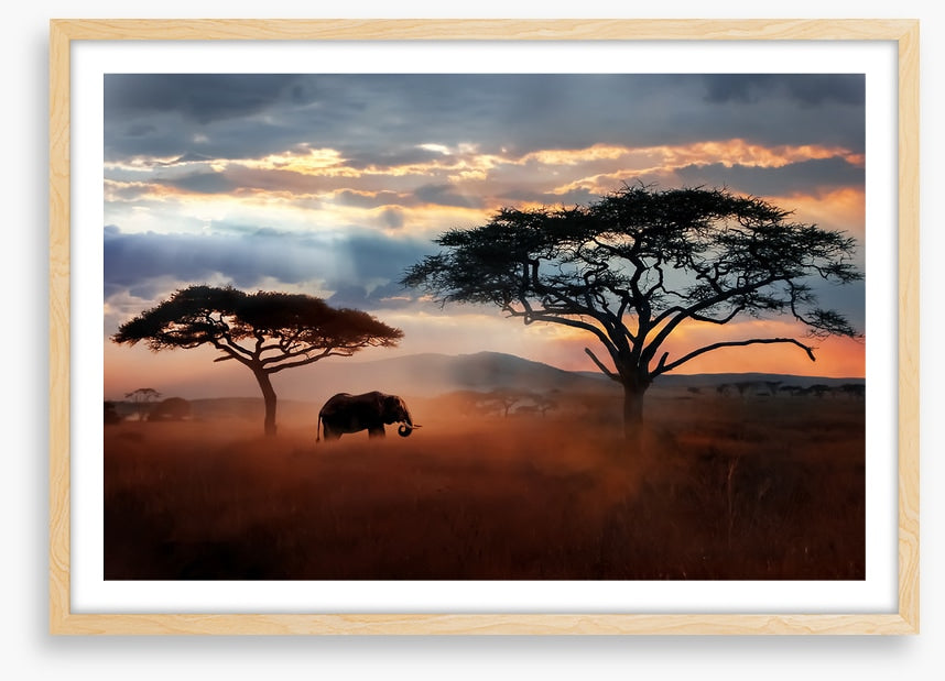 Serengeti dust silhouettes