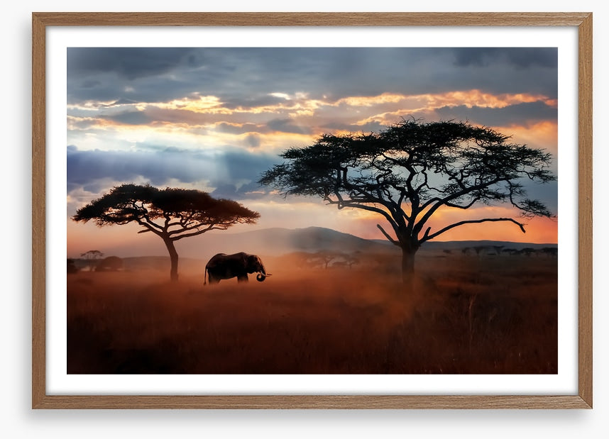 Serengeti dust silhouettes