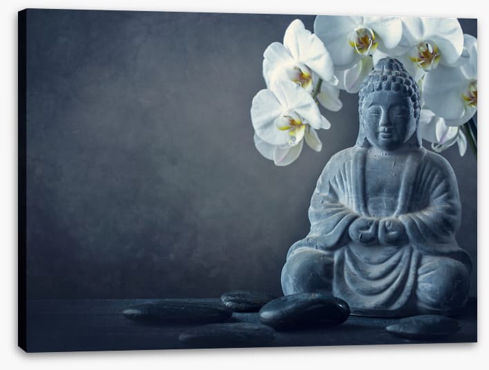 A meditative moment