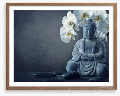 A meditative moment
