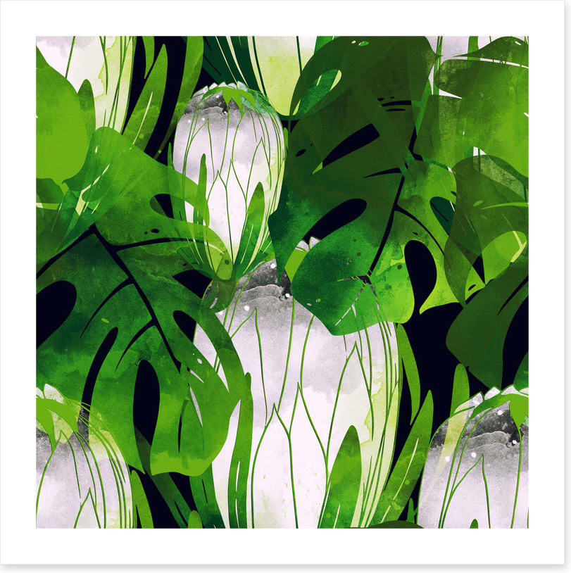 Monstera moonlight