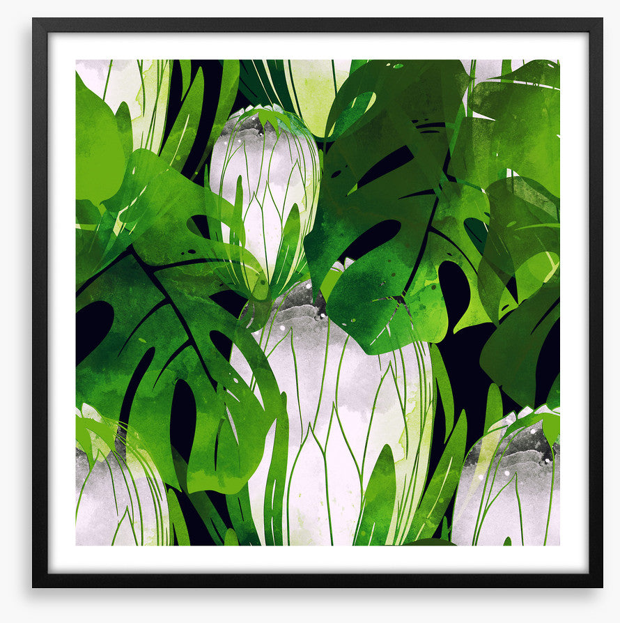 Monstera moonlight