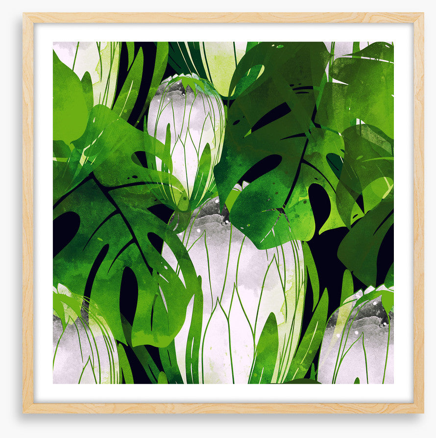 Monstera moonlight