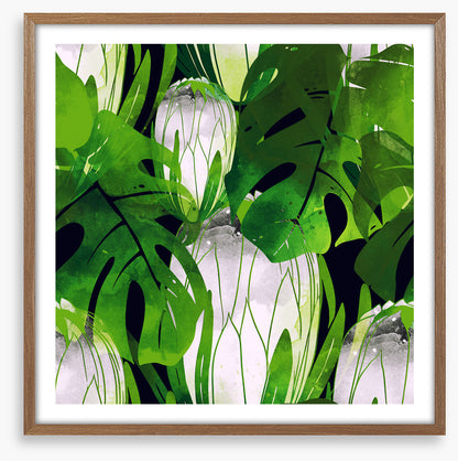 Monstera moonlight