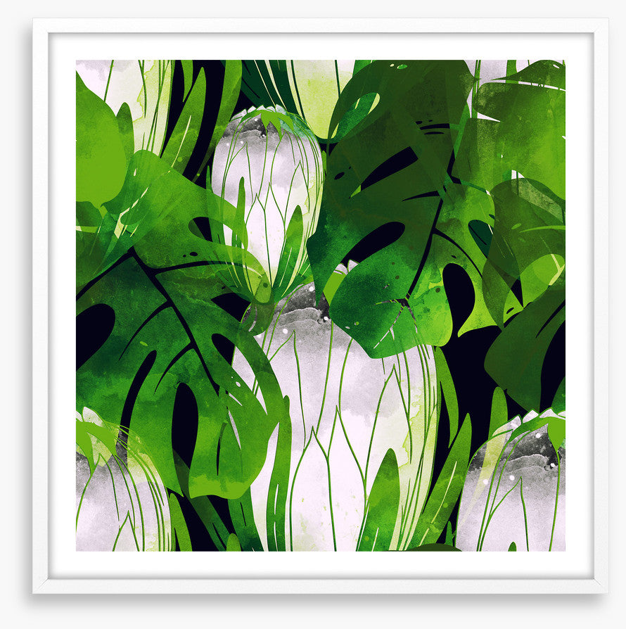 Monstera moonlight