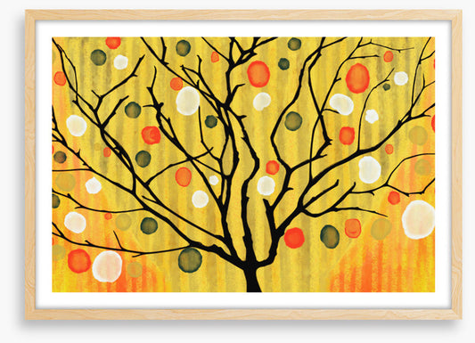 The transition tree