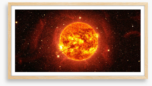Solar flare plasma