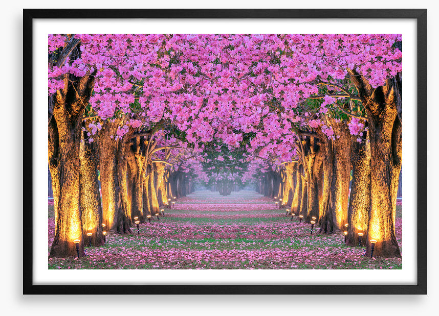 Tunnel of blossom