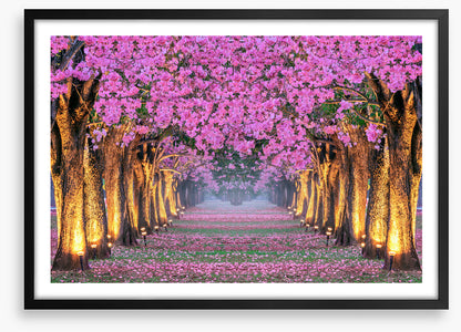 Tunnel of blossom