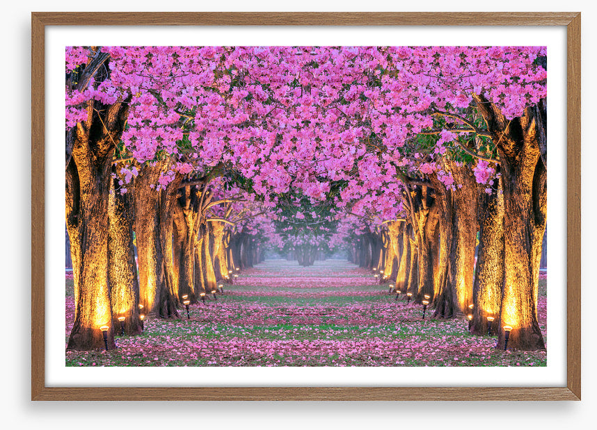 Tunnel of blossom